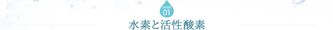 merit01