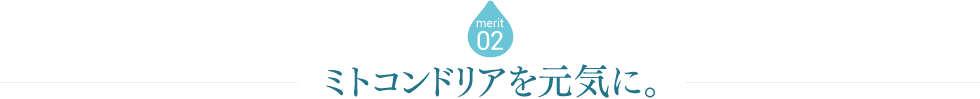 merit02 ミトコンドリアを元気に。